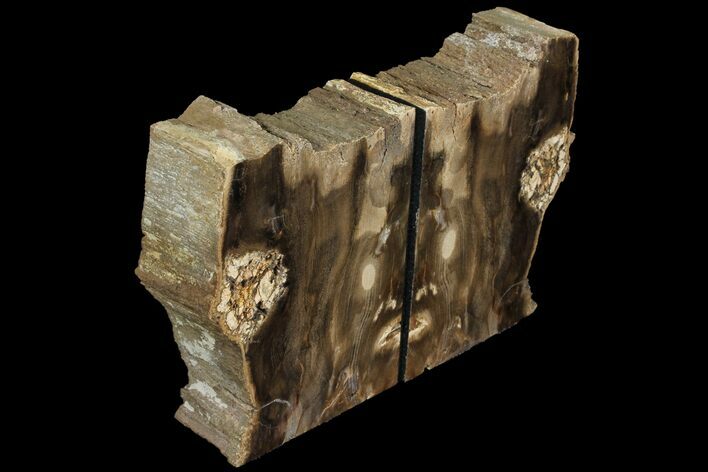 Petrified Wood Bookends - Oregon #99311
